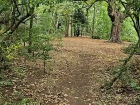 Clapham Common cruising trails - June 2025 asian blissful pornstars sex videos
