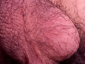 Sexy twink's hairy balls move all alone for this fascinating gay porn video asian gay boys sex videos all round xvideos53
